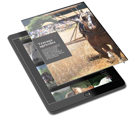 présentation interactive sur tablette